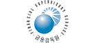 Financial Supervisory Service logo